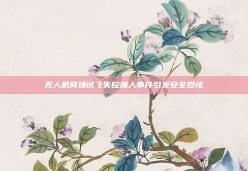 无人机商场试飞失控撞人事件引发安全担忧