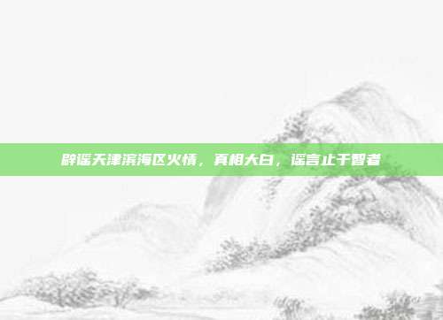 辟谣天津滨海区火情，真相大白，谣言止于智者