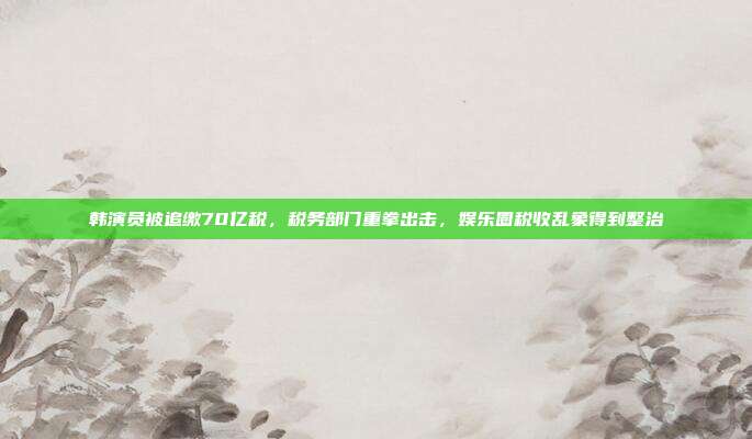 韩演员被追缴70亿税，税务部门重拳出击，娱乐圈税收乱象得到整治