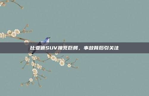 比亚迪SUV撞死巨鳄，事故背后引关注