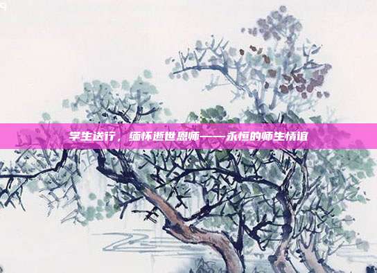 学生送行，缅怀逝世恩师——永恒的师生情谊